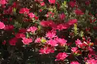 国宝 大法寺の自然