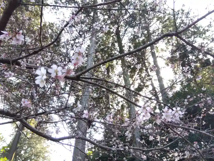真楽寺(三重県)
