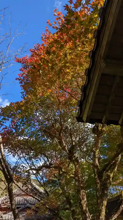 寂光院(京都府)