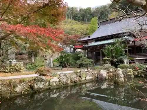 勝善寺の本殿・本堂