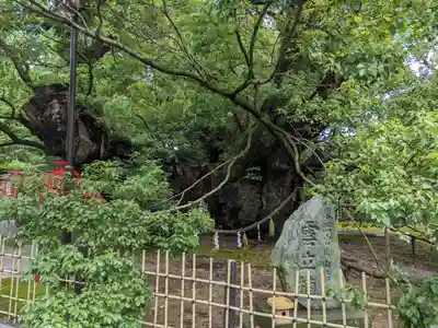 浜松八幡宮のその他建物