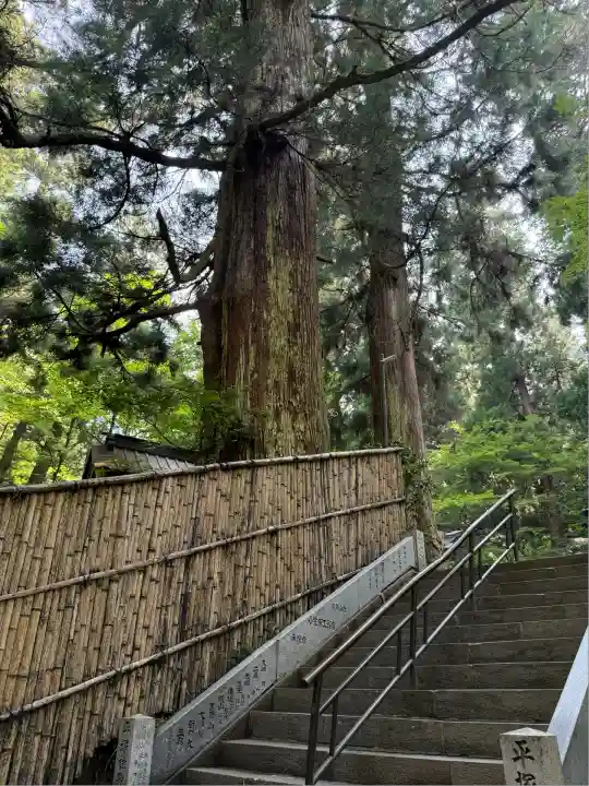 最乗寺(道了尊)(神奈川県)