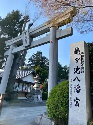 亀ケ池八幡宮の鳥居