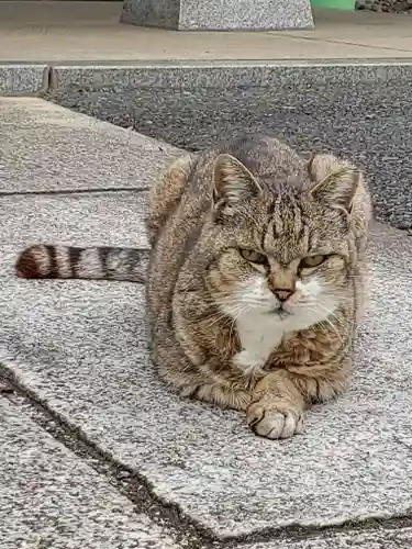 白金氷川神社(東京都)