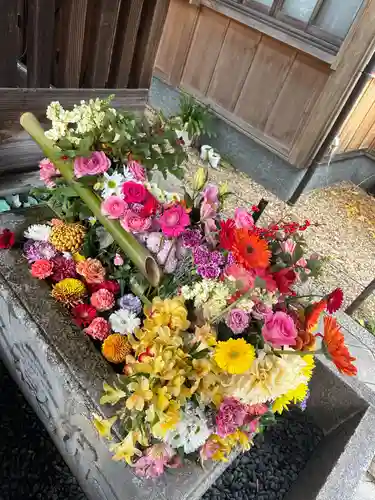 勝林寺(京都府)