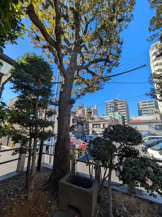 千潮金刀比羅宮(東京都)