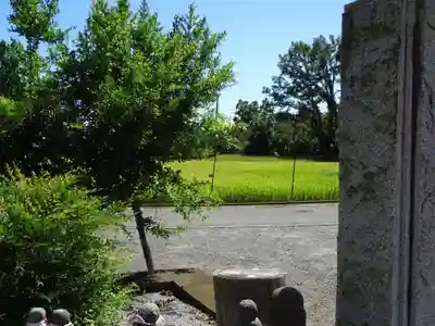 伊勢原 法泉寺の周辺