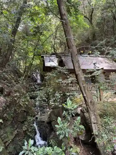 多度大社の{uncategorized: "未分類", other: "その他", undefined: "問題あり", building: "その他建物", grave: "お墓", sacred_gate: "鳥居", guardian: "狛犬", statue: "像", buddha: "仏像", history: "歴史", nature: "自然", garden: "庭園", animal: "動物", pagoda: "塔", temizu: "手水舎", mountain_gate: "山門・神門", sanctuary: "本殿・本堂", subordinate: "末社・摂社", art: "芸術", scenery: "景色", jizo: "地蔵", ema: "絵馬", goshuin: "御朱印", omikuji: "おみくじ", items: "授与品その他", amulet: "お守り", goshuincho: "御朱印帳", eats: "食事", festival: "お祭り", votive_dance: "神楽", shichigosan: "七五三参", wedding: "結婚式", experience: "体験その他", initially: "初詣", around: "周辺", anti_infection: "感染症対策"}
