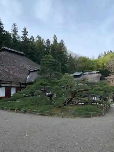 常楽寺の庭園