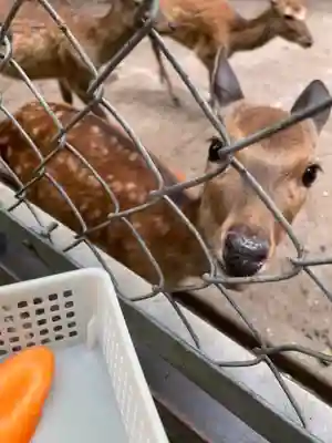鹿島神宮(茨城県)