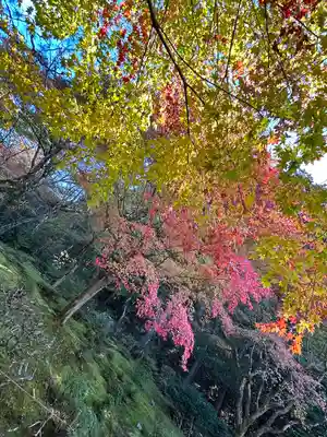 詩仙堂(丈山寺)(京都府)