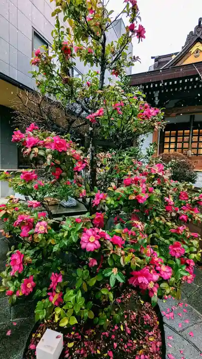 太上神社の自然