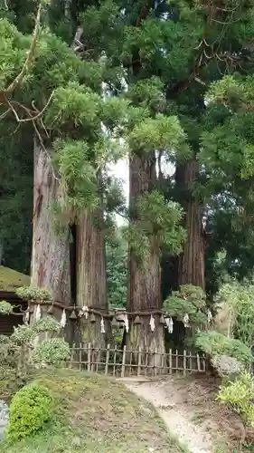 金剛三昧院のその他建物