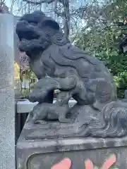 牛天神北野神社の狛犬