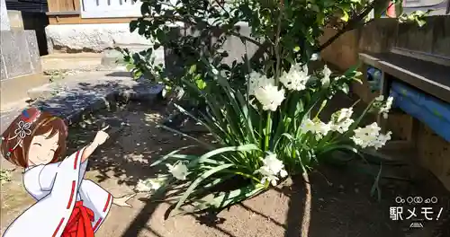 諏訪神社の自然