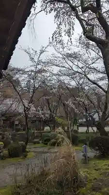 勝持寺（花の寺）(京都府)