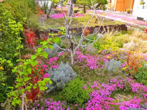 寿量山　速成寺の自然