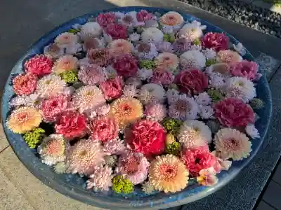 行田八幡神社の{uncategorized: "未分類", other: "その他", undefined: "問題あり", building: "その他建物", grave: "お墓", sacred_gate: "鳥居", guardian: "狛犬", statue: "像", buddha: "仏像", history: "歴史", nature: "自然", garden: "庭園", animal: "動物", pagoda: "塔", temizu: "手水舎", mountain_gate: "山門・神門", sanctuary: "本殿・本堂", subordinate: "末社・摂社", art: "芸術", scenery: "景色", jizo: "地蔵", ema: "絵馬", goshuin: "御朱印", omikuji: "おみくじ", items: "授与品その他", amulet: "お守り", goshuincho: "御朱印帳", eats: "食事", festival: "お祭り", votive_dance: "神楽", shichigosan: "七五三参", wedding: "結婚式", experience: "体験その他", initially: "初詣", around: "周辺", anti_infection: "感染症対策"}