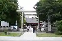 浅草神社の鳥居