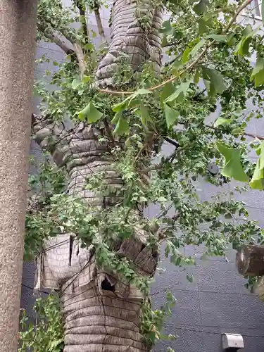 誕生八幡神社(東京都)