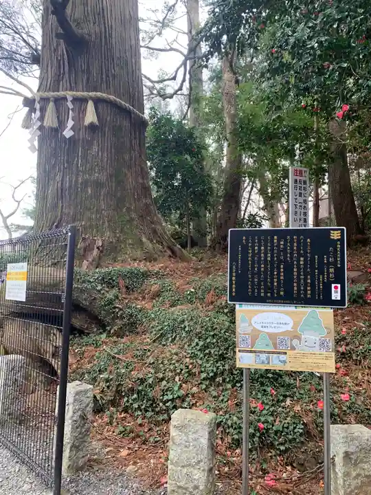 高尾山薬王院の自然