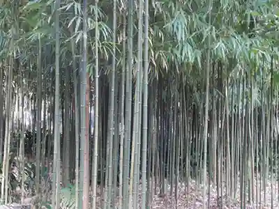浄智寺(神奈川県)