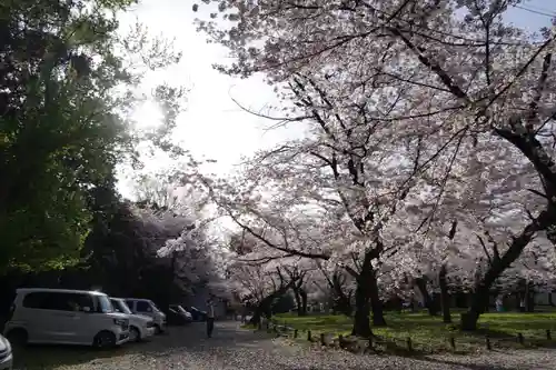 平野神社の庭園