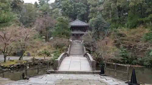 知恩院(京都府)