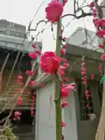 平河天満宮の自然