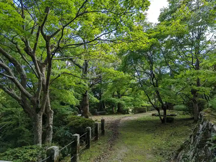 勝持寺(花の寺)(京都府)