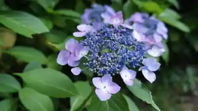 太平山神社(栃木県)