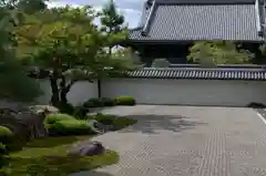 南禅寺の庭園