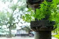 玉祖神社(山口県)