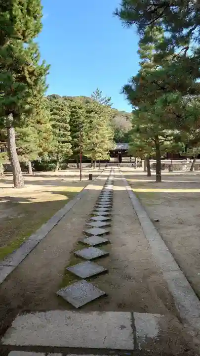 萬福寺の{uncategorized: "未分類", other: "その他", undefined: "問題あり", building: "その他建物", grave: "お墓", sacred_gate: "鳥居", guardian: "狛犬", statue: "像", buddha: "仏像", history: "歴史", nature: "自然", garden: "庭園", animal: "動物", pagoda: "塔", temizu: "手水舎", mountain_gate: "山門・神門", sanctuary: "本殿・本堂", subordinate: "末社・摂社", art: "芸術", scenery: "景色", jizo: "地蔵", ema: "絵馬", goshuin: "御朱印", omikuji: "おみくじ", items: "授与品その他", amulet: "お守り", goshuincho: "御朱印帳", eats: "食事", festival: "お祭り", votive_dance: "神楽", shichigosan: "七五三参", wedding: "結婚式", experience: "体験その他", initially: "初詣", around: "周辺", anti_infection: "感染症対策"}