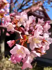 伊達神社の自然