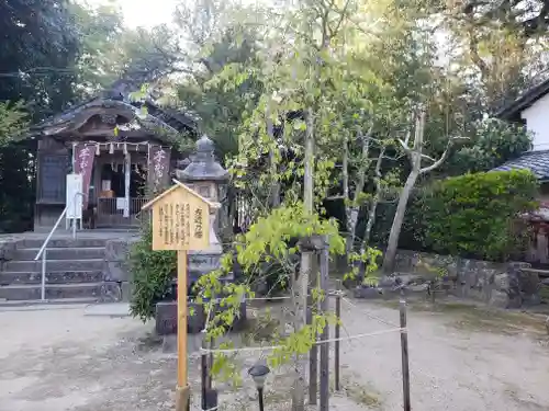 天満神社のその他建物
