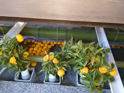 進雄神社の手水舎