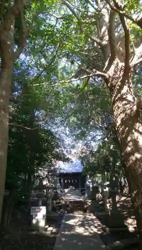大宮神社の本殿・本堂