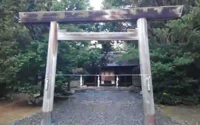 伊良湖神社(愛知県)