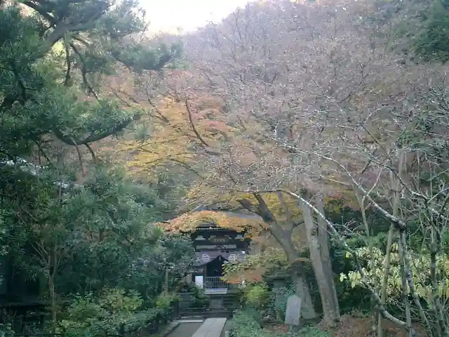 黄梅院(円覚寺塔頭)の景色