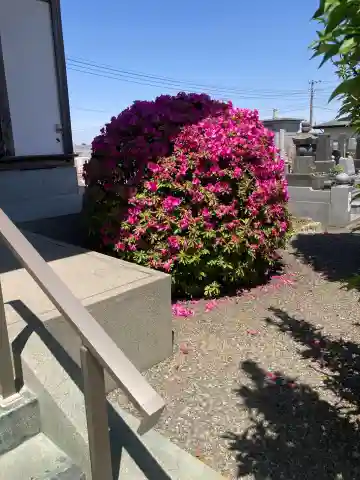 明珠院(神奈川県)