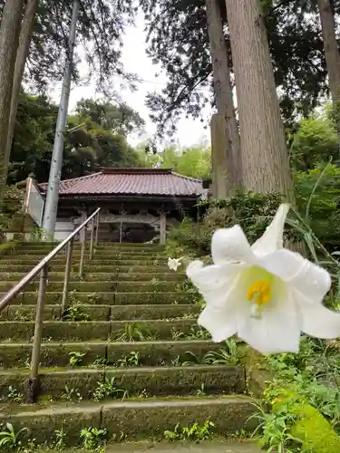 大王寺の山門