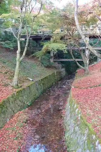 東福禅寺（東福寺）の景色