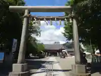 浅草神社の鳥居