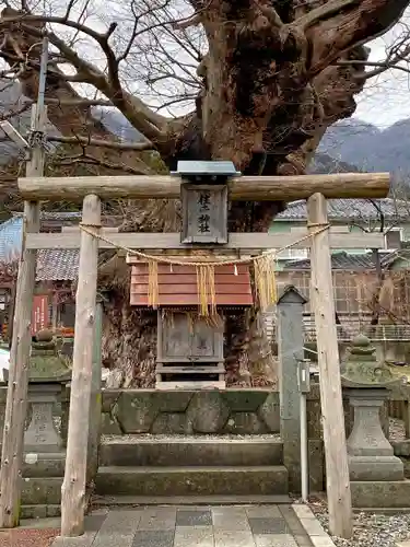 住吉神社（彌彦神社境外末社）の鳥居