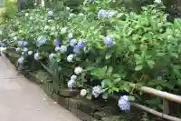 東慶寺の{uncategorized: "未分類", other: "その他", undefined: "問題あり", building: "その他建物", grave: "お墓", sacred_gate: "鳥居", guardian: "狛犬", statue: "像", buddha: "仏像", history: "歴史", nature: "自然", garden: "庭園", animal: "動物", pagoda: "塔", temizu: "手水舎", mountain_gate: "山門・神門", sanctuary: "本殿・本堂", subordinate: "末社・摂社", art: "芸術", scenery: "景色", jizo: "地蔵", ema: "絵馬", goshuin: "御朱印", omikuji: "おみくじ", items: "授与品その他", amulet: "お守り", goshuincho: "御朱印帳", eats: "食事", festival: "お祭り", votive_dance: "神楽", shichigosan: "七五三参", wedding: "結婚式", experience: "体験その他", initially: "初詣", around: "周辺", anti_infection: "感染症対策"}