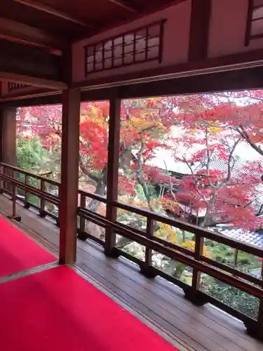 柳谷観音　楊谷寺の景色