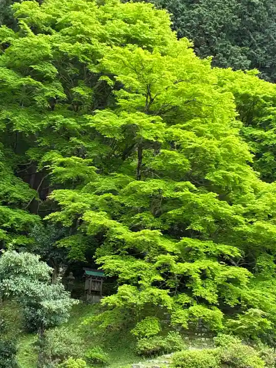 萬徳寺(福井県)