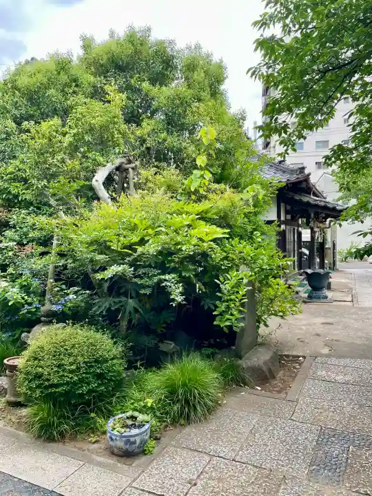 大正寺(千葉県)