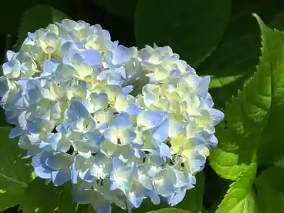 多摩川浅間神社(東京都)